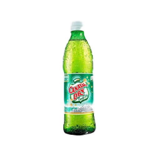 Canada Dry 10Onz 300ml